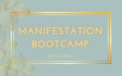 Manifestation Bootcamp Saison V