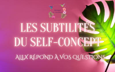 Les Subtilités du Self-Concept