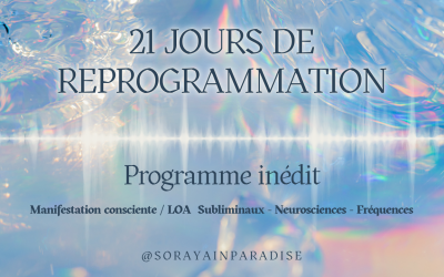 21 Jours de Reprogrammation