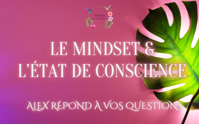 Le Mindset & L’état de Conscience