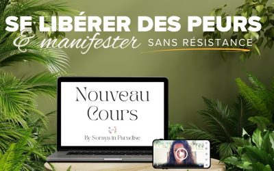 Se libérer des peurs & manifester sans résistance